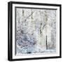 Winter in the Teutoburg Forest.-Nadja Jacke-Framed Photographic Print