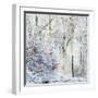 Winter in the Teutoburg Forest.-Nadja Jacke-Framed Photographic Print