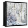 Winter in the Teutoburg Forest.-Nadja Jacke-Framed Stretched Canvas