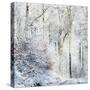 Winter in the Teutoburg Forest.-Nadja Jacke-Stretched Canvas