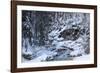 Winter in the Vrata valley-Simone Wunderlich-Framed Photographic Print