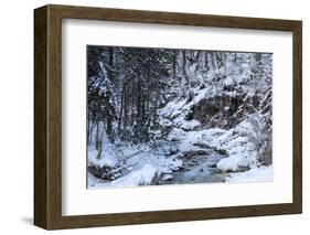 Winter in the Vrata valley-Simone Wunderlich-Framed Photographic Print