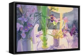 Winter Iris-Claire Spencer-Framed Stretched Canvas
