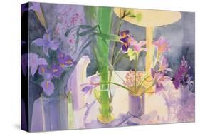 Winter Iris-Claire Spencer-Stretched Canvas