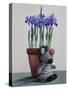 Winter Irises and Zebra-Christopher Ryland-Stretched Canvas