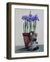 Winter Irises and Zebra-Christopher Ryland-Framed Giclee Print