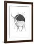 Winter Is All Around-Balazs Solti-Framed Art Print