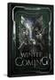 Winter Is Coming-null-Framed Poster