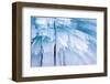 Winter is Here-Ursula Abresch-Framed Photographic Print