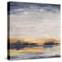 Winter Islands II-Farrell Douglass-Stretched Canvas