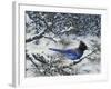 Winter Jay-Jeff Tift-Framed Premium Giclee Print