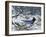 Winter Jay-Jeff Tift-Framed Giclee Print