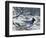 Winter Jay-Jeff Tift-Framed Giclee Print