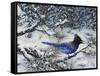 Winter Jay-Jeff Tift-Framed Stretched Canvas