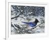 Winter Jay-Jeff Tift-Framed Giclee Print