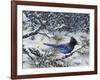 Winter Jay-Jeff Tift-Framed Giclee Print