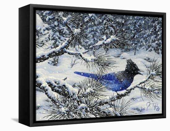 Winter Jay-Jeff Tift-Framed Stretched Canvas