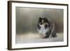 Winter Journey-Jai Johnson-Framed Giclee Print