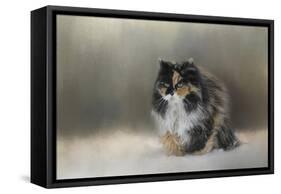 Winter Journey-Jai Johnson-Framed Stretched Canvas