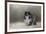 Winter Journey-Jai Johnson-Framed Giclee Print