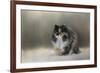 Winter Journey-Jai Johnson-Framed Giclee Print