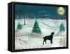 Winter Labrador-Tina Nichols-Framed Stretched Canvas