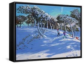 Winter, Ladmanlow, Derbyshire, 2013-Andrew Macara-Framed Stretched Canvas