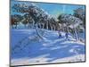 Winter, Ladmanlow, Derbyshire, 2013-Andrew Macara-Mounted Giclee Print