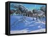 Winter, Ladmanlow, Derbyshire, 2013-Andrew Macara-Framed Stretched Canvas