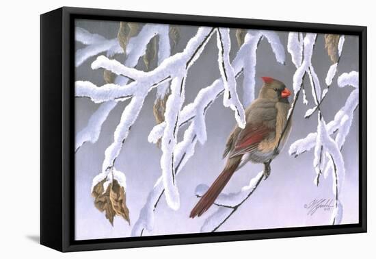Winter Lady - Cardinal-Wilhelm Goebel-Framed Stretched Canvas