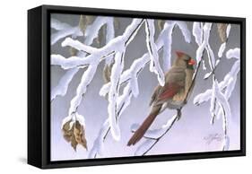 Winter Lady - Cardinal-Wilhelm Goebel-Framed Stretched Canvas