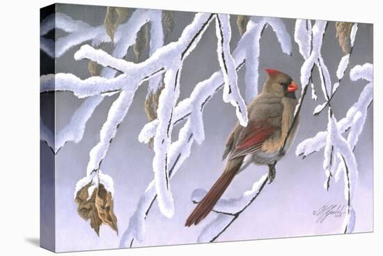 Winter Lady - Cardinal-Wilhelm Goebel-Stretched Canvas