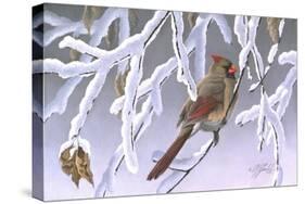 Winter Lady - Cardinal-Wilhelm Goebel-Stretched Canvas