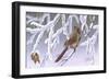 Winter Lady - Cardinal-Wilhelm Goebel-Framed Giclee Print