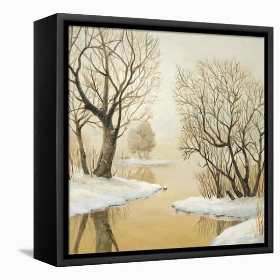 Winter Lake Square-Arnie Fisk-Framed Stretched Canvas