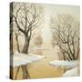 Winter Lake Square-Arnie Fisk-Stretched Canvas