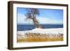 Winter Lake-Ata Alishahi-Framed Giclee Print