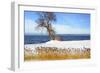 Winter Lake-Ata Alishahi-Framed Giclee Print