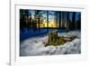 Winter landcape, Jukkasjarvi, Lapland, Sweden-null-Framed Photographic Print