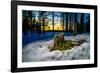 Winter landcape, Jukkasjarvi, Lapland, Sweden-null-Framed Photographic Print