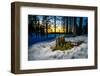 Winter landcape, Jukkasjarvi, Lapland, Sweden-null-Framed Photographic Print