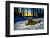 Winter landcape, Jukkasjarvi, Lapland, Sweden-null-Framed Photographic Print