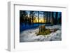 Winter landcape, Jukkasjarvi, Lapland, Sweden-null-Framed Photographic Print