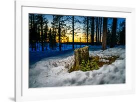 Winter landcape, Jukkasjarvi, Lapland, Sweden-null-Framed Photographic Print