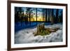 Winter landcape, Jukkasjarvi, Lapland, Sweden-null-Framed Photographic Print