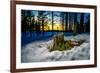 Winter landcape, Jukkasjarvi, Lapland, Sweden-null-Framed Photographic Print