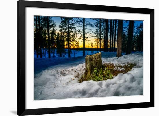 Winter landcape, Jukkasjarvi, Lapland, Sweden-null-Framed Photographic Print