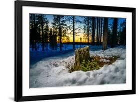 Winter landcape, Jukkasjarvi, Lapland, Sweden-null-Framed Photographic Print