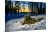 Winter landcape, Jukkasjarvi, Lapland, Sweden-null-Mounted Photographic Print