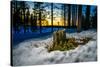 Winter landcape, Jukkasjarvi, Lapland, Sweden-null-Stretched Canvas